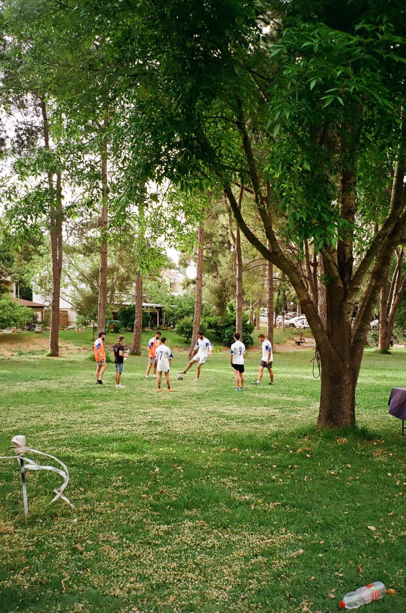 A casual football game on grass between tall trees in a park