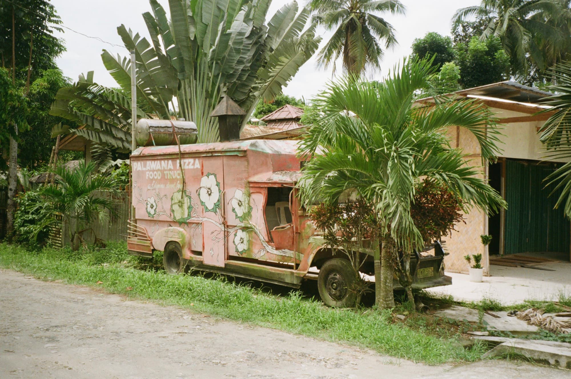 A derelict pink food truck overgrown by palms on a village roadside
