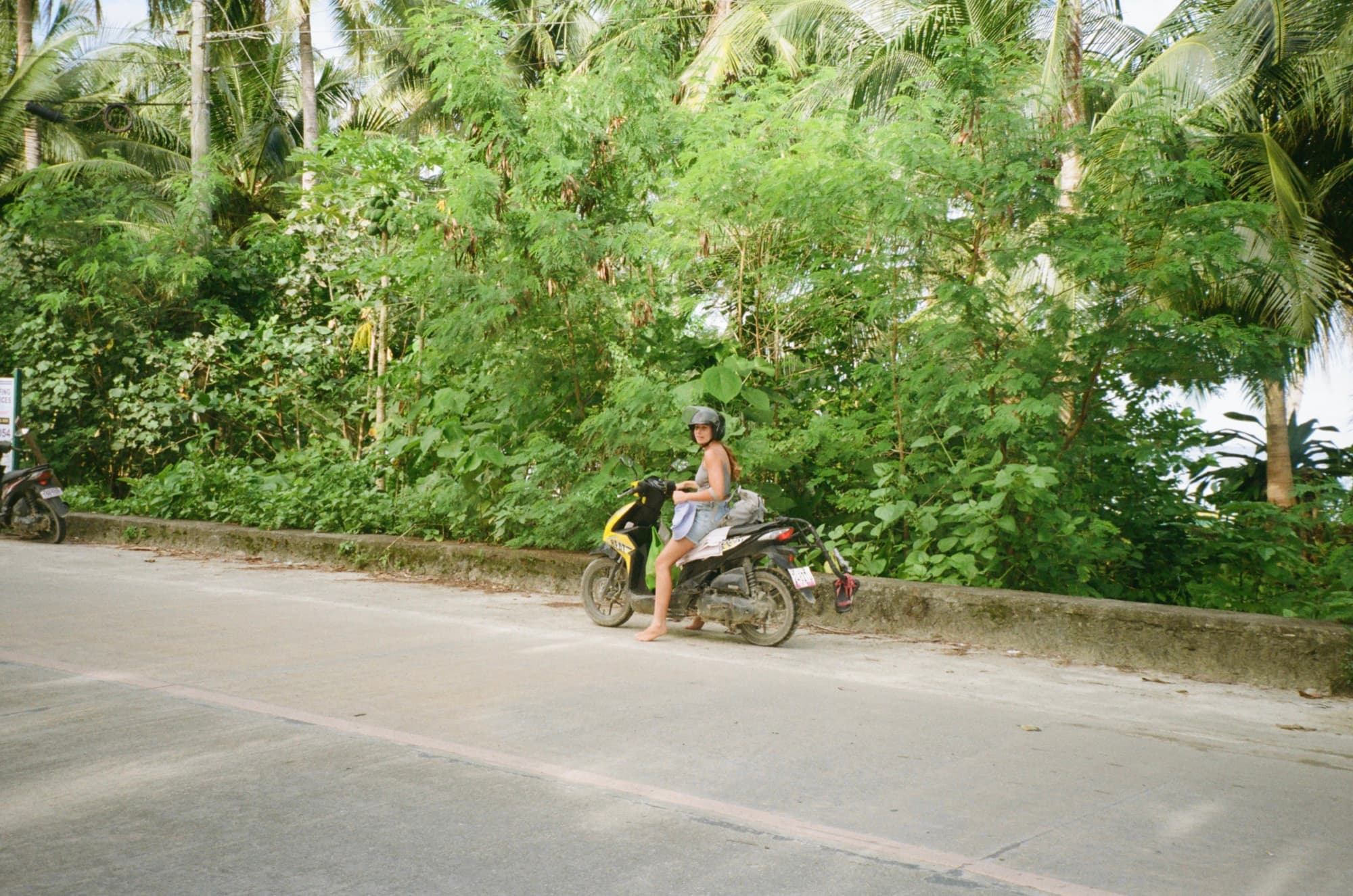 A rider on a motorbike on an empty road banked by dense palm forest